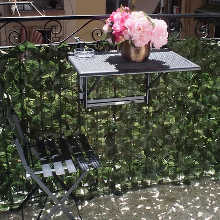 게스트하우스 Real Dalia 4*